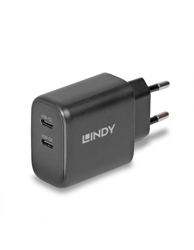 Incarcator Lindy 2x USB Type-C GaN 65W "LY-73438"