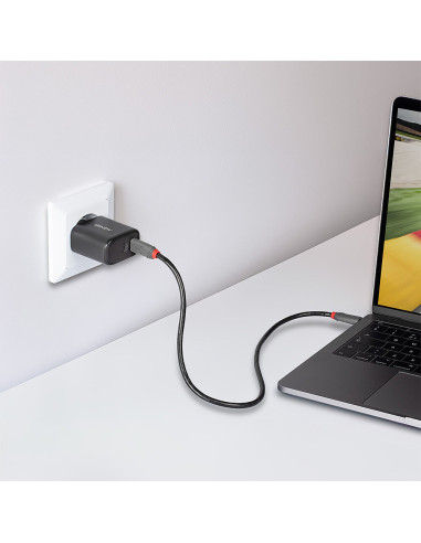 Incarcator Lindy 2x USB Type-C GaN 65W "LY-73438"