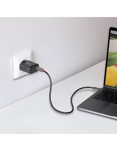 Incarcator Lindy 2x USB Type-C GaN 65W "LY-73438"