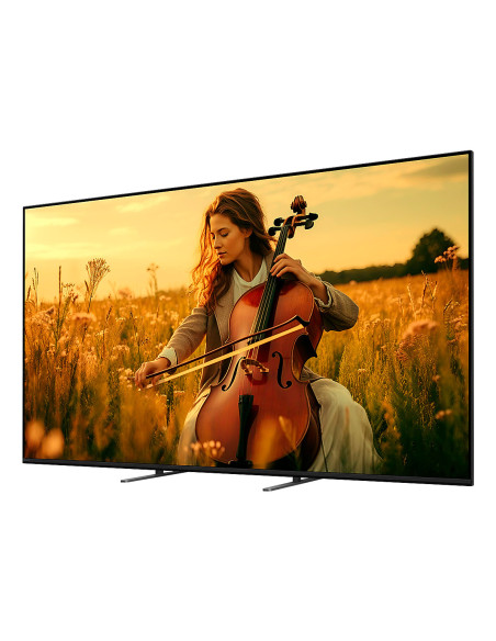 MiniLED TV 65"(165cm) SONY K65XR55B.CEI "K65XR55B.CEI"