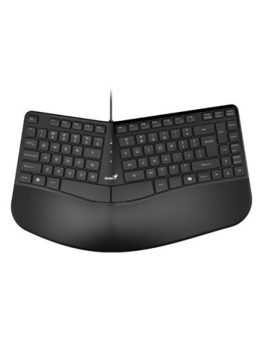 TASTATURA GENIUS USB, 104 taste, 12 functii,...