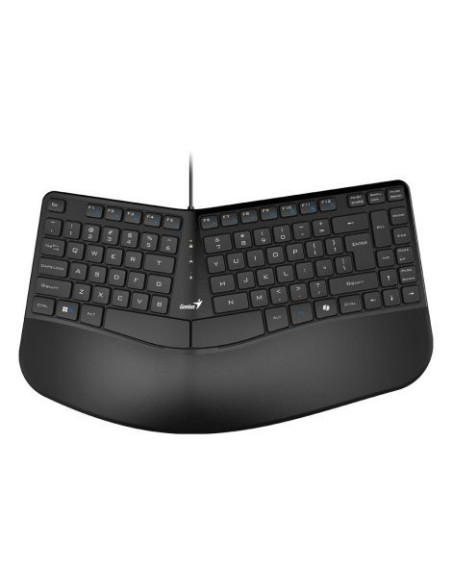 TASTATURA GENIUS USB, 104 taste, 12 functii, ergonomic, palm rest, AI, cablu 1.5m, black, "Ergo KB-700" "31310053400"