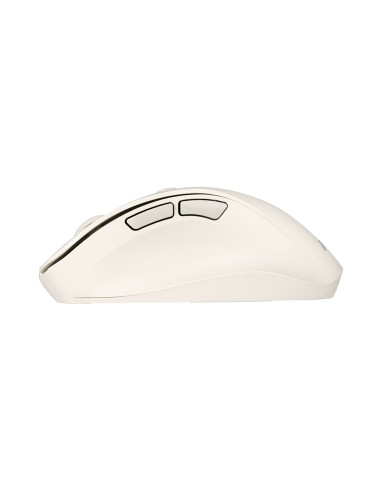 ASUS Marshmallow Mouse MD100 Black...