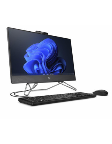 HP AIO 205G8 24" R3-5425U 8G 256 UMA EDU