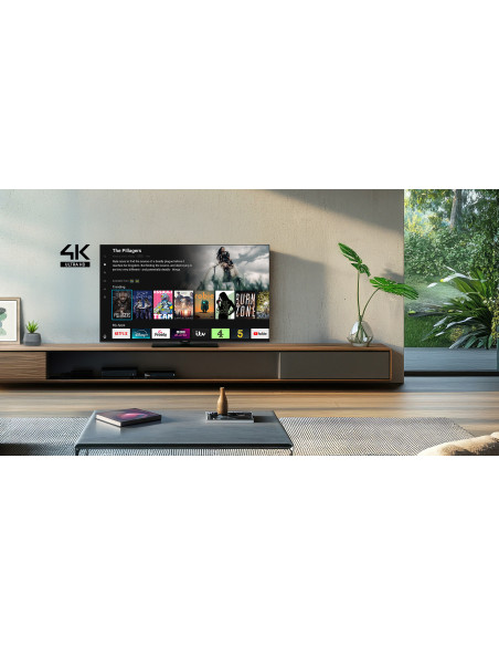 Televizor Panasonic, TB-55W61AEZ, Smart, 140 cm, LED, 4K HDR "TB-55W61AEZ"