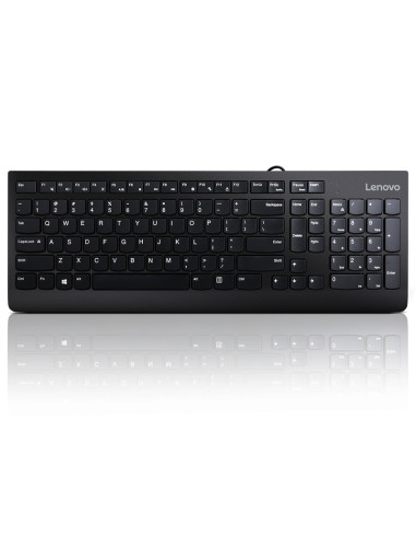 Tastaturi Lenovo 300 USB Keyboard - US English