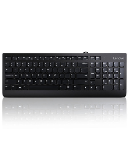 Tastaturi Lenovo 300 USB Keyboard - US English