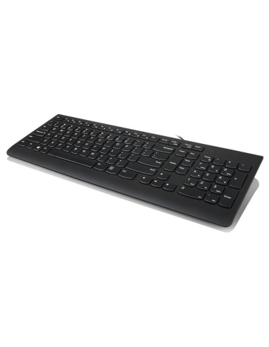 Tastaturi Lenovo 300 USB Keyboard - US English