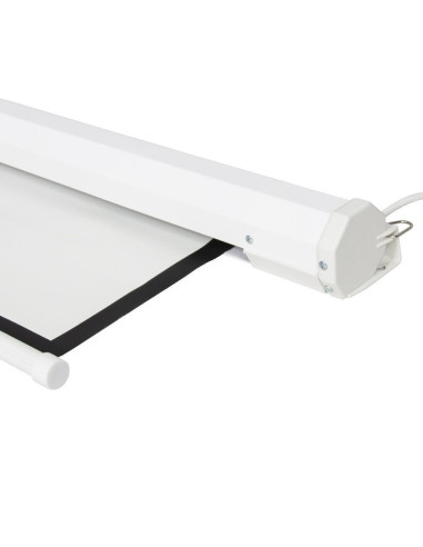 BenQ BSW010043