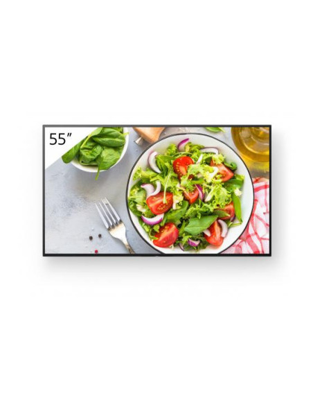Monitoare Signage SONY Monitor signage SONY FW-55BZ35L