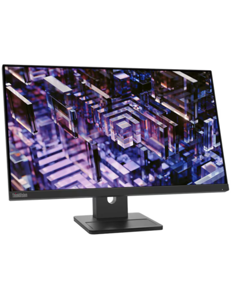 Monitor Lenovo ThinkVision E24q-30, 24", QHD, 100 HZ, Pivot, WLED