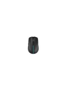 Mouse SERIOUX MOUSE SERIOUX FLICKER 212 WR BLACK