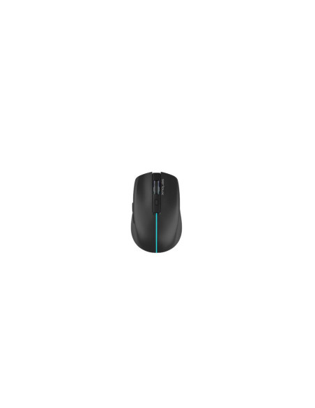 Mouse SERIOUX MOUSE SERIOUX FLICKER 212 WR BLACK