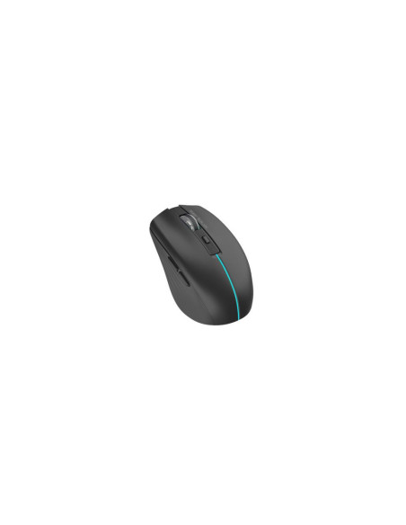 Mouse SERIOUX MOUSE SERIOUX FLICKER 212 WR BLACK