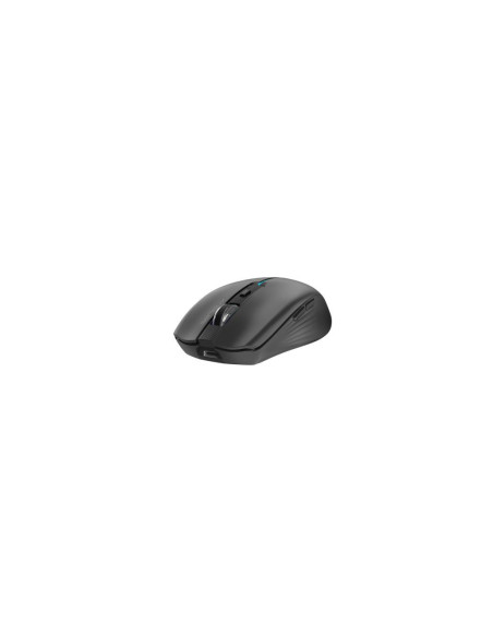 Mouse SERIOUX MOUSE SERIOUX FLICKER 212 WR BLACK