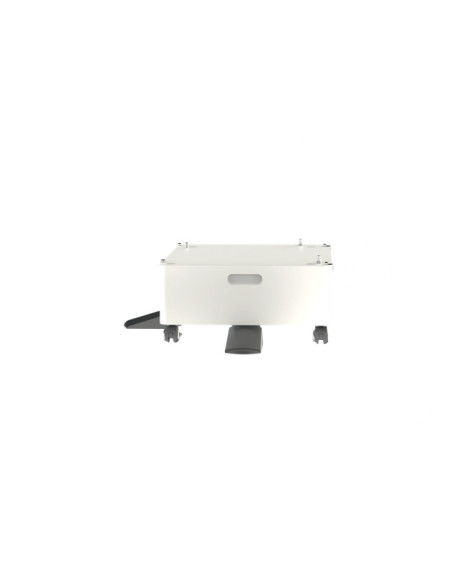 Accesorii printing EPSON CABINET AMC SERIES