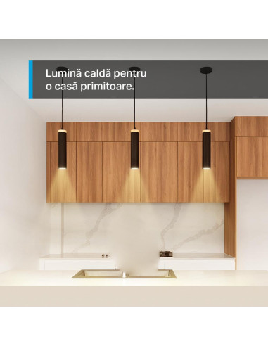 Smart home TP-LINK TAPO L610 SMART LIGHT BULB
