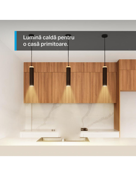 Smart home TP-LINK TAPO L610 SMART LIGHT BULB