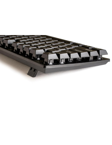 Kit mouse tastatura SPACER KIT Spacer fara fir...