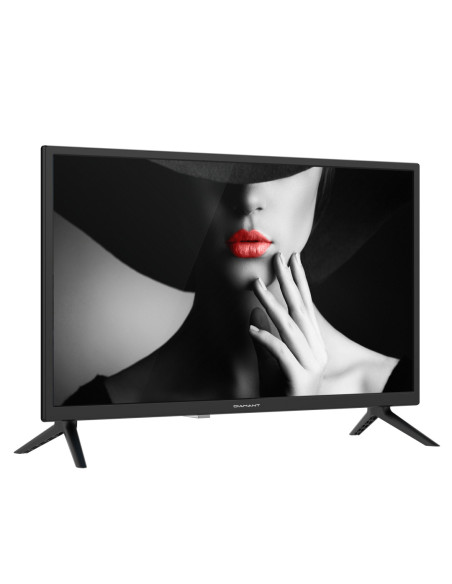 Televizoare HORIZON LED TV 24" DIAMANT HD 24HL4300H/C