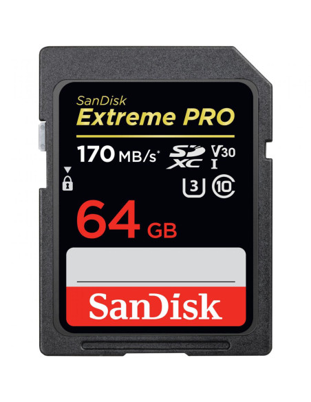 Carduri memorie SANDISK SD Card 64GB CL10 SDSDXXU-064G-GN4IN
