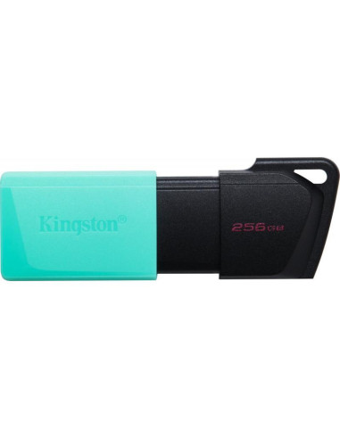 Memorii USB KINGSTON KS USB 256GB DATATRAVELER...