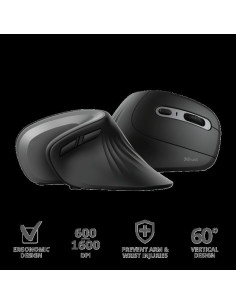 Mouse TRUST Mouse Trust Verro Ergonomic 1600 DPI, ng