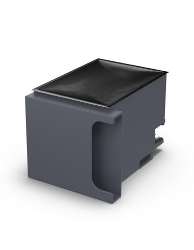 Accesorii printing EPSON MAINTENANCE BOX...