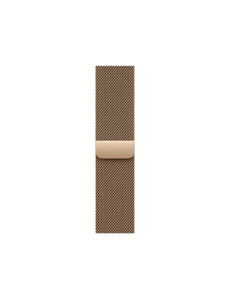 Bratari fitness APPLE AW BAND 40MM MILANESE GOLD