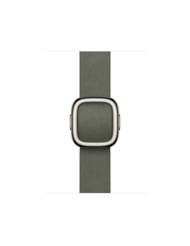 Bratari fitness APPLE AW BAND 42MM MODERN...