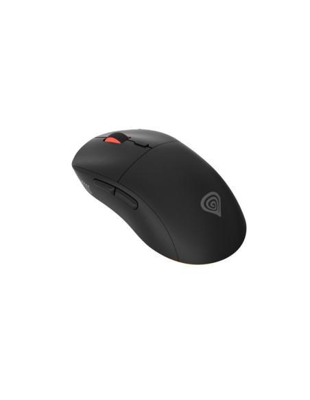 Mouse GENESIS Zircon XIII mouse