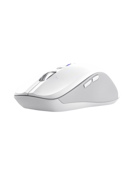 Mouse TRUST Mouse WS Trust Ferro Hyperscroll, alb