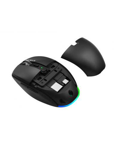 Mouse SERIOUX MOUSE SERIOUX SRXM-AFL225-BK