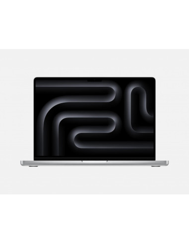 Laptop APPLE MP14 M5 CPU-10/GPU-10/24GB/1TB US SV