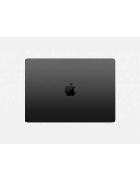 Laptop APPLE MP14 M5 CPU-10/GPU-10/24GB/1TB US BK