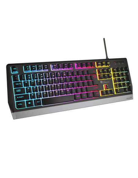 Tastaturi GENESIS Rhod 300 RGB keyboard