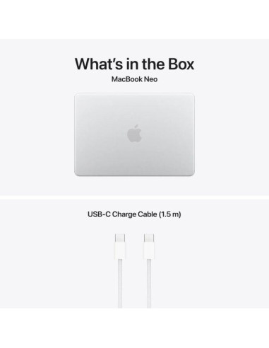 Laptop APPLE MBN13 A18P CPU-6/GPU-5/8GB/256 INT SV