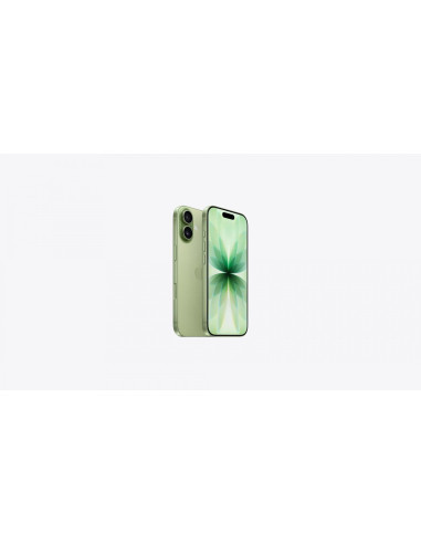 Telefoane Mobile APPLE iPHONE 17 512GB SAGE