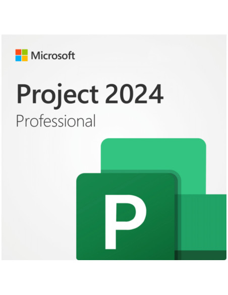 SW PROJECT PROFESSIONAL 2024 MS "EP2-07001"