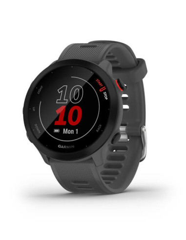Smartwatch Forerunner 55 Monterra Grey...