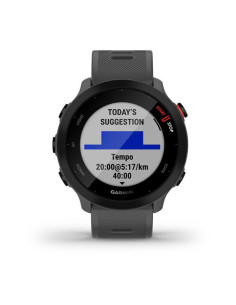 Smartwatch Forerunner 55 Monterra Grey "010-02562-13" 2