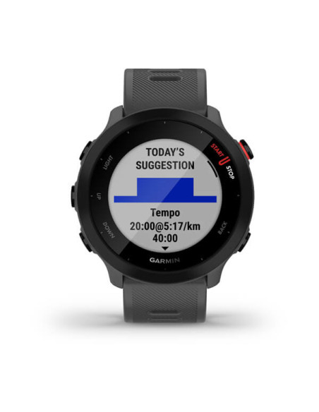 Smartwatch Forerunner 55 Monterra Grey "010-02562-13"