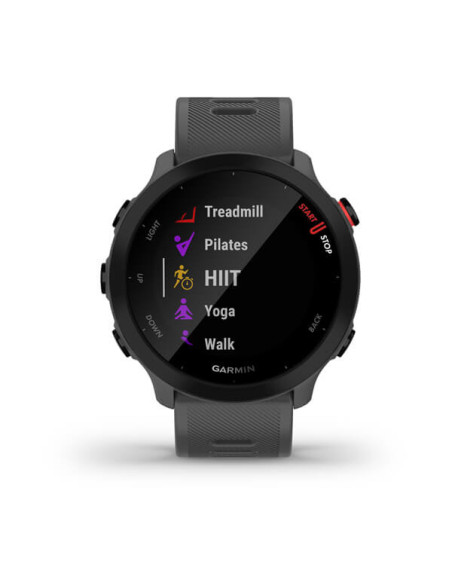 Smartwatch Forerunner 55 Monterra Grey "010-02562-13"