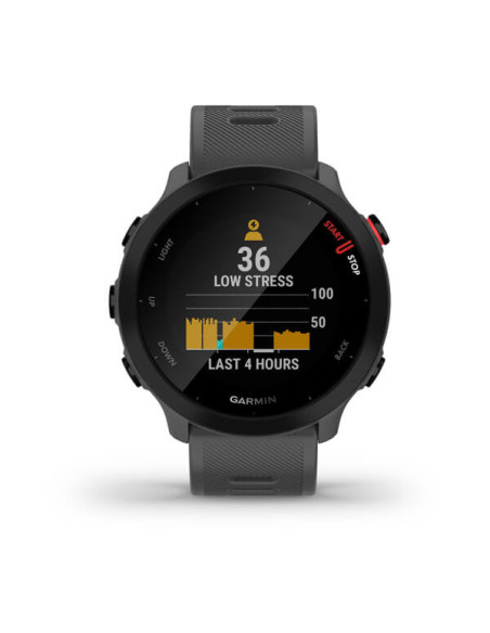 Smartwatch Forerunner 55 Monterra Grey "010-02562-13"