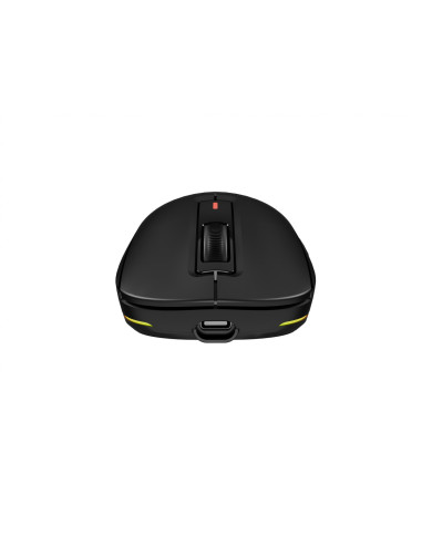 Mouse GENESIS Mouse Genesis WS Zircon 660 Pro...