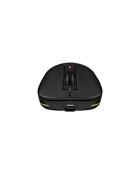 Mouse GENESIS Mouse Genesis WS Zircon 660 Pro 26000 ng