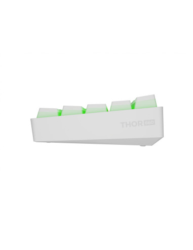 Tastaturi GENESIS Tastatura Genesis Thor 660 G2...