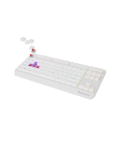 Tastaturi GENESIS Tastatura WS Genesis Thor 230 TKL R alb