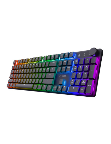 Tastaturi TRUST Tastatura Trust GXT 868 Torix WS, ng