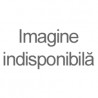 Placi video
